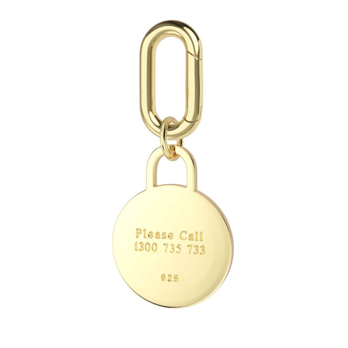 Personalised Circle Brass Pet Name Tag