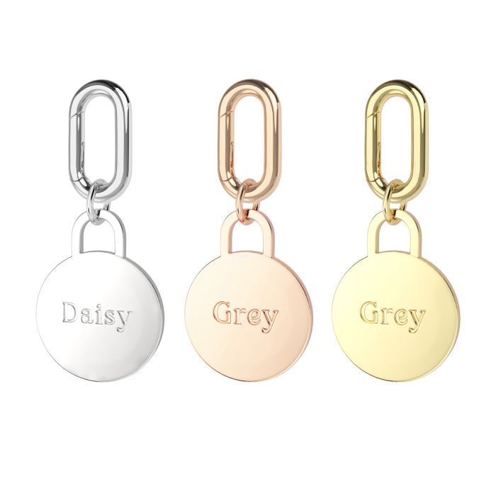 Personalised Circle Brass Pet Name Tag